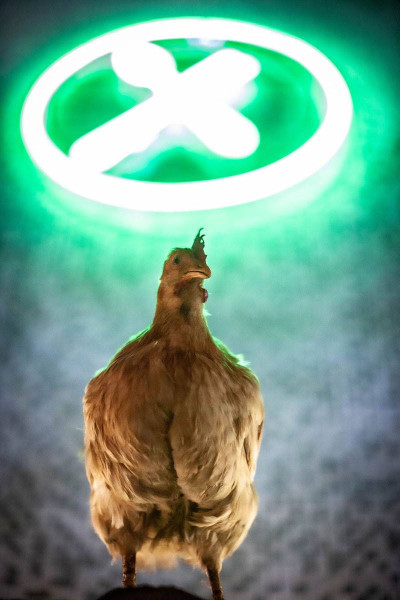 Nicole Bernegger kocht &middot; Mühle Hunziken