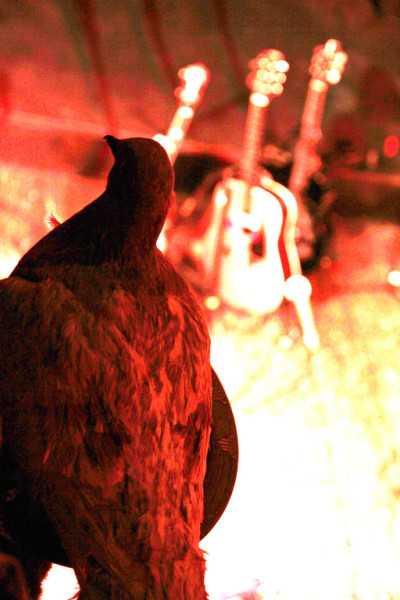 Lloyd Williams & Stephan Imobersteg &middot; Mühle Hunziken